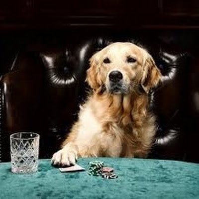 ElDiavlo_o's profile picture. 