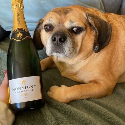 bedlam78's profile picture. Be just and fear not.