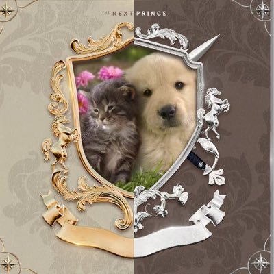 @Ling2Yuk @yuklingchan1613 @Ling06195221 @ling1667726 @Lingchan1276831 @cyl73766 @chanling148 @ychan1423