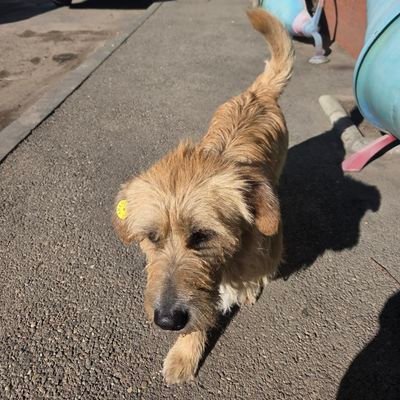 bambi0133's profile picture. 