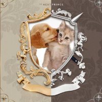 CYL123456 (@lingc7427) 's Twitter Profile
