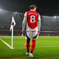 ひーぐな (@higooner) 's Twitter Profile