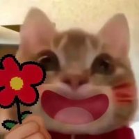 bbk (@bbk2357) 's Twitter Profile