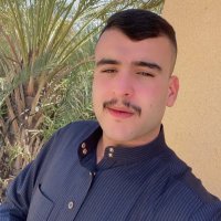 الدهلگي 🇮🇶 (@1shakreen) 's Twitter Profile