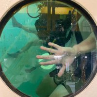 DK (@ndmcdk) Twitter profile photo