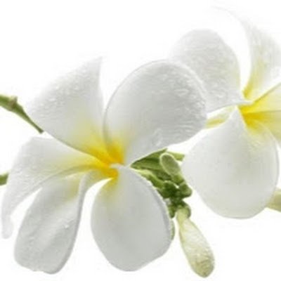 dd57987's profile picture. 