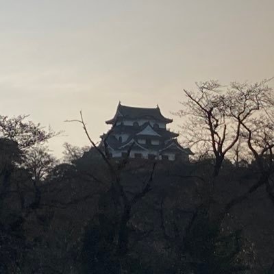 GVjSzx0b7i30218's profile picture. 🍃💚！里！ いつもありがとう！