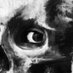 deadboyz (@dadeadboyz) Twitter profile photo deadboyz (@dadeadboyz) Twitter profile photo