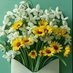 Beydağı (@fatihcanbay44) Twitter profile photo Beydağı (@fatihcanbay44) Twitter profile photo