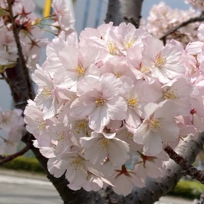 mayu3107🐠BT on X: 