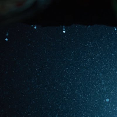 minervax1031's profile picture. 