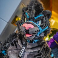 EmptySync ➡️ FWA (@emptysync) 's Twitter Profile