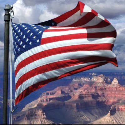 letsrollTRUMP's profile picture. 