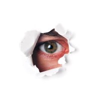 spypublicx (@dago_gdl30) 's Twitter Profile
