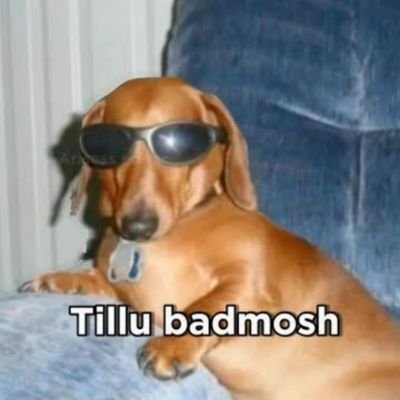 confused_addmi's profile picture. I like