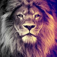 BOBRj21 🏳️🌈 (@nana_machado14) 's Twitter Profile