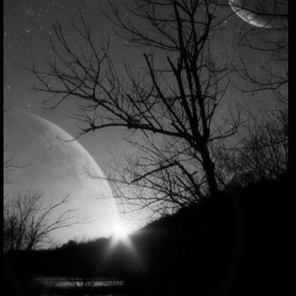 md0155212850171's profile picture. 