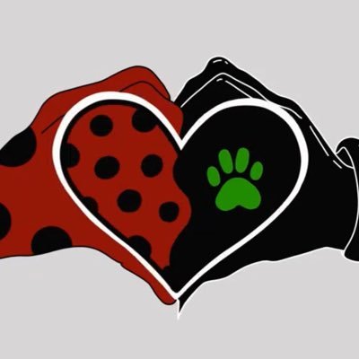 zdenda_tlapka's profile picture. 