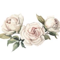 のいばら (@1789714iris) 's Twitter Profile Photo