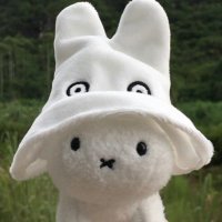 조막 (@tthiinnyg) 's Twitter Profile Photo