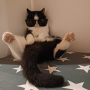 David Wolfertstetter - @DavidWolf59763 - Twitter