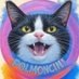 Gatto Polmoncini (@gattopolmoncini) Twitter profile photo Gatto Polmoncini (@gattopolmoncini) Twitter profile photo