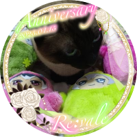 ATE (@ymate_s) 's Twitter Profile