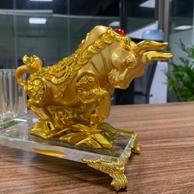 HainguyenCVTG's profile picture. Cryptocurrency traders and investors. Anoma. gnoma. Anomage 🧙