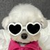 🐶 (@wofwofsex) Twitter profile photo 🐶 (@wofwofsex) Twitter profile photo