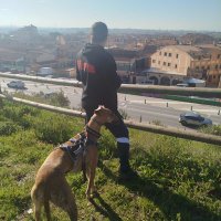 AlbertoTVseries (@albertotvseries) 's Twitter Profile Photo AlbertoTVseries (@albertotvseries) 's Twitter Profile Photo