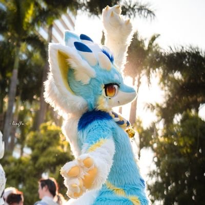 HaoHai0528's profile picture. 你好！我是浩海，我毛毛的名字是向阳，是一只蓝色毛龙~
Q568756835，欢迎来交朋友~