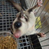 qQvSj8Nxf839479's profile picture. 