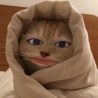 notnew362902's profile picture. 