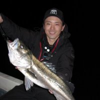 こじろう (@n0xsguuvllde8pv) 's Twitter Profile Photo
