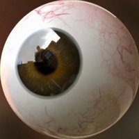 lab (@labofmonsters) 's Twitter Profile Photo lab (@labofmonsters) 's Twitter Profile Photo