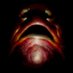 πππππππππ (@scornfulfringes) Twitter profile photo πππππππππ (@scornfulfringes) Twitter profile photo