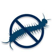 Pestauthority25's profile picture. It's our mission to provide a pest-free home you can enjoy with complete peace of mind. We take the confidence you place in us very seriously.