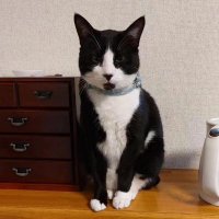 夜の数学王 (@king_math3_2024) 's Twitter Profile