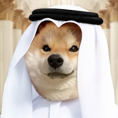 BTC_2032's profile picture. taddoge
TG: https://t.co/JSl1s9ugFp
CA:0xb9485E167782090cf8B252035e3d65D2012b9735