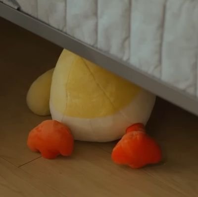 FahstdS's profile picture. 🐢 𝐓𝐡𝐞𝐫𝐞 𝐢𝐬 𝐨𝐧𝐥𝐲 𝐌𝐚𝐱𝐤𝐲𝐁𝐚𝐬 𝐚𝐧𝐝 𝟔𝐂𝐎𝐃𝐄 🏀
             ♡ @maxky_rp @bbasjtr ♡
#maxky_rp #bbasjtr #Maxkybas #แม็กกี้บาส #6CODE