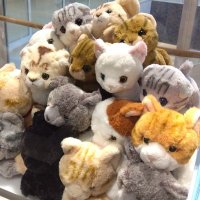 スーちゃん (@su_chan_pipi) Twitter profile photo