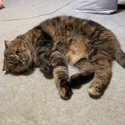 l_it05's profile picture. エンジニアしてます。割とフルスタックで、Node.js, Go, Flutter, IaC、CI/CDが好き / 株8年 / FP3級 / 格闘技も少し👀 / #スプラ3
