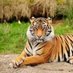 Latha Karthick (@shugi_mithilesh) Twitter profile photo Latha Karthick (@shugi_mithilesh) Twitter profile photo
