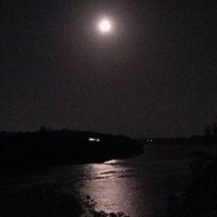 Mjomba (@benjabali) 's Twitter Profile