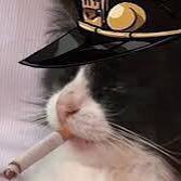 ChickenJokky's profile picture. do you know what happenes if you mix hot lava and chicken?