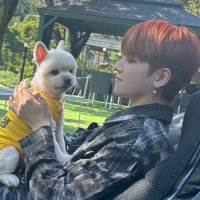 🫧chiharu🫧 (@soogyu_1205) 's Twitter Profile