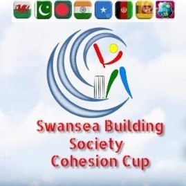 Non-profit community cohesion cricket project