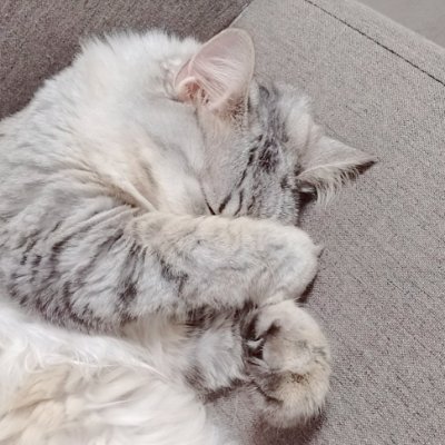 りょこさんのプロフィール画像