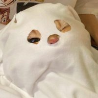 ⋆˙⟡🍡ชะนีขี้มโน🐱ྀི (@jaejinniez) 's Twitter Profile Photo ⋆˙⟡🍡ชะนีขี้มโน🐱ྀི (@jaejinniez) 's Twitter Profile Photo