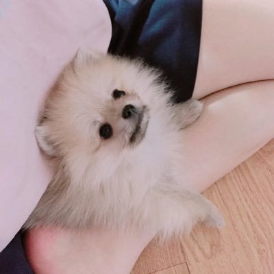T1 💘 DOFGK + 구슼🥰 / 23.12.30~ing / 멘션 스루 고의 ❌ / T1 fan account ❤️ Only T1 🐿️🐯🐈⬛🐻🐶 / @T1LoL @faker @T1Keria @0nerren0 @gumayusi_min @doran_choi